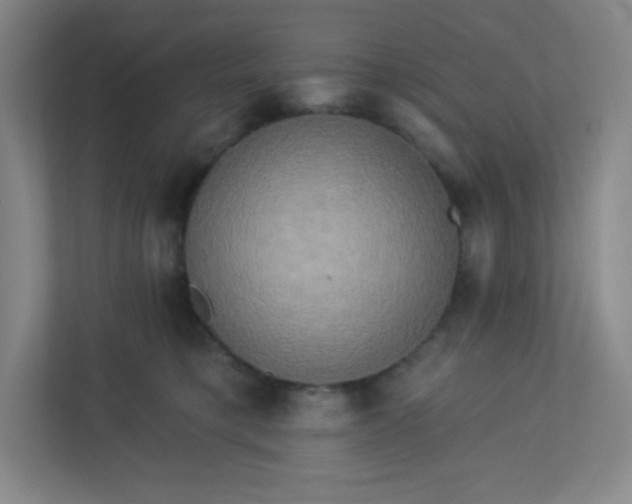 X0000113300421200909281108