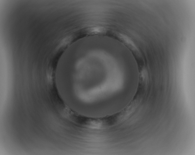 X0000113300423200909281108