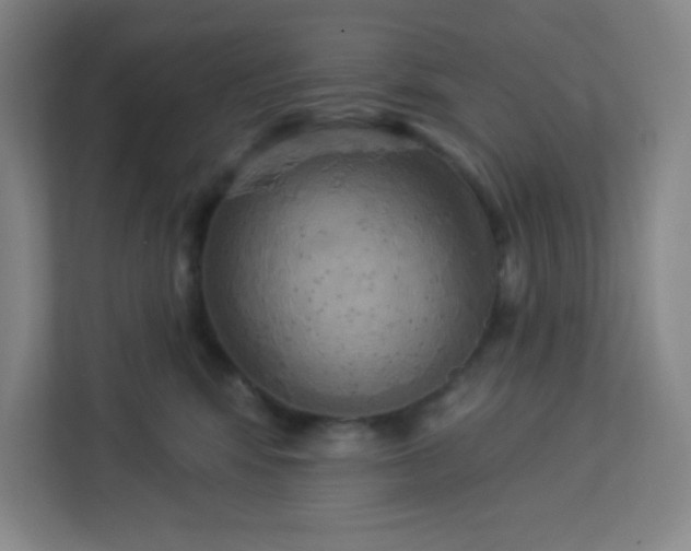 X0000113300424200909281108