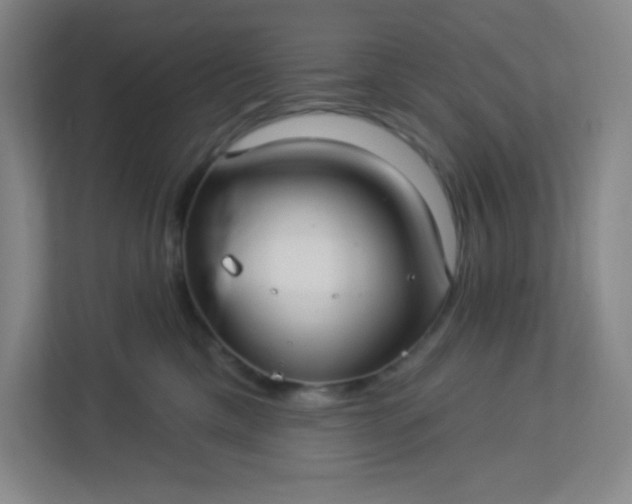 X0000113300425200909281108