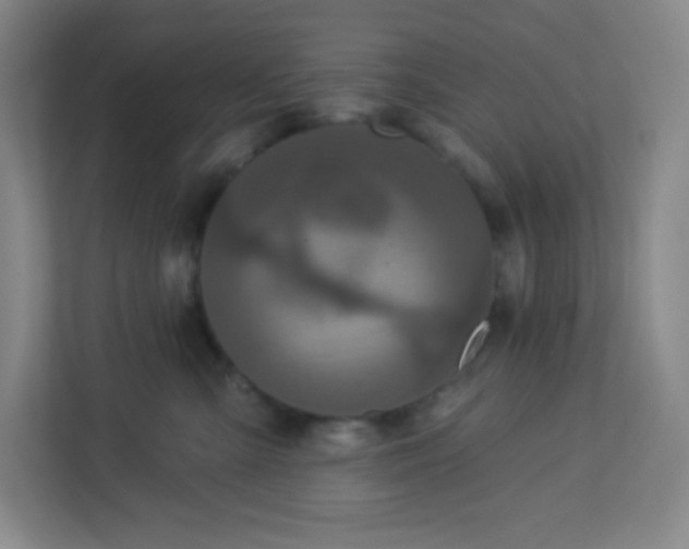 X0000113300427200909281108