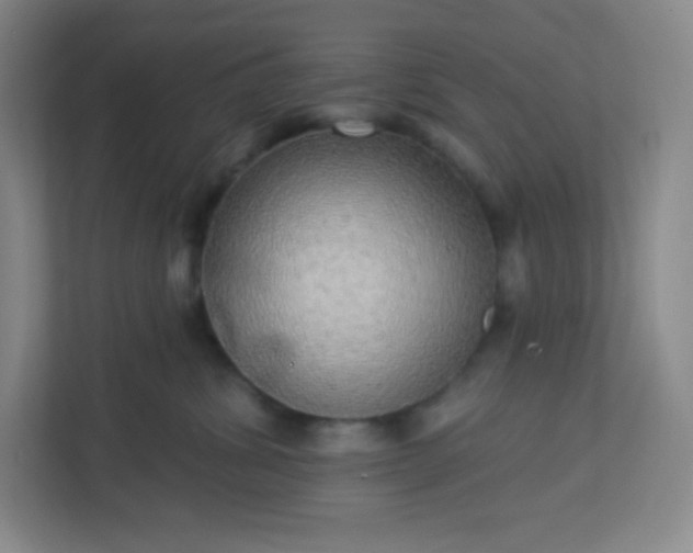 X0000113300428200909281108