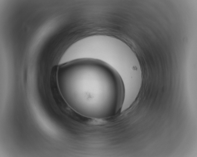 X0000113300429200909281108