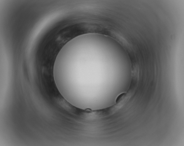 X0000113300430200909281108