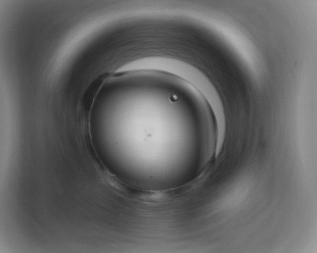 X0000113300431200909281108