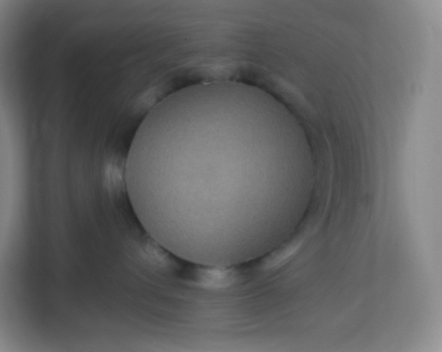 X0000113300432200909281108