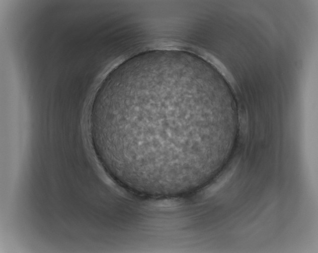 X0000113300433200909281107