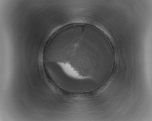 X0000113300434200909281107