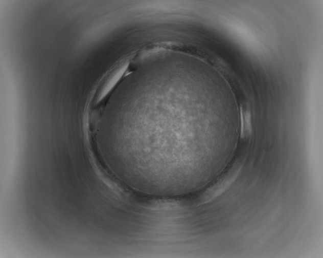 X0000113300435200909281107