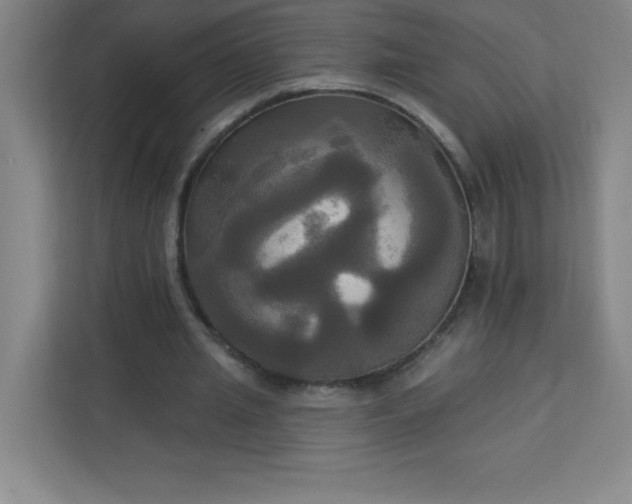 X0000113300437200909281107