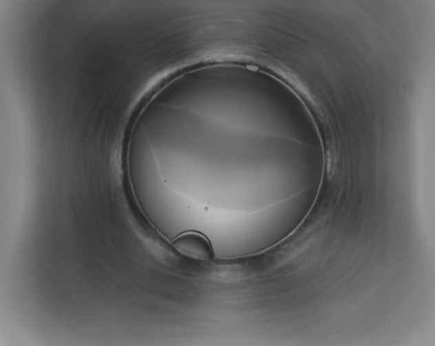 X0000113300438200909281107