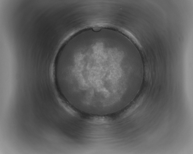 X0000113300439200909281107