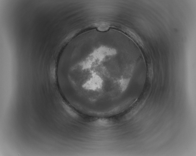 X0000113300441200909281107