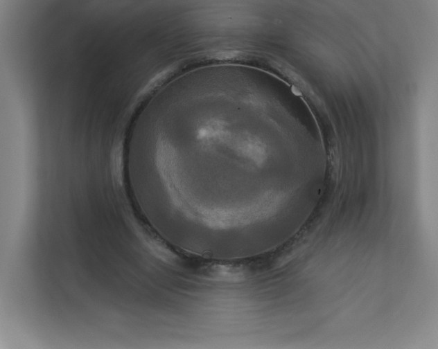 X0000113300442200909281107