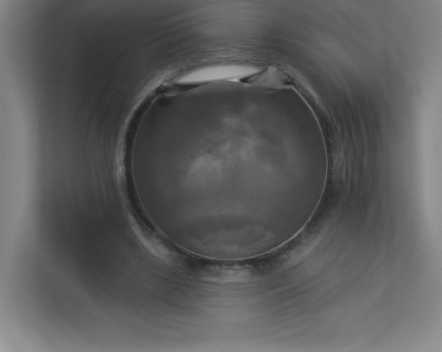 X0000113300443200909281107