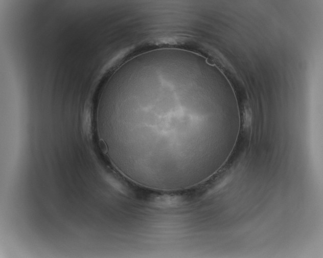 X0000113300444200909281107