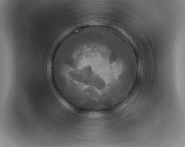 X0000113300445200909281107