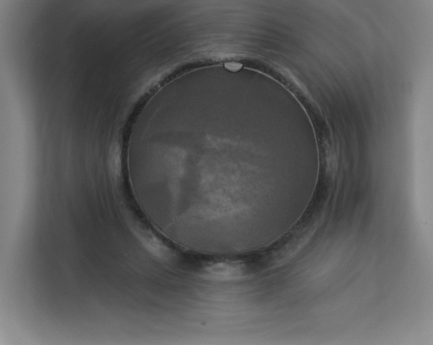 X0000113300447200909281107