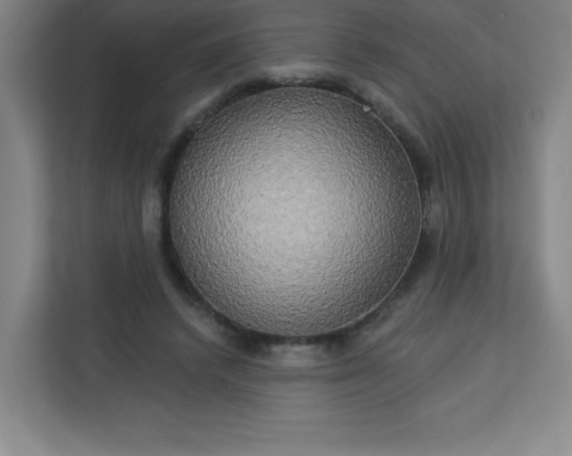 X0000113300448200909281107