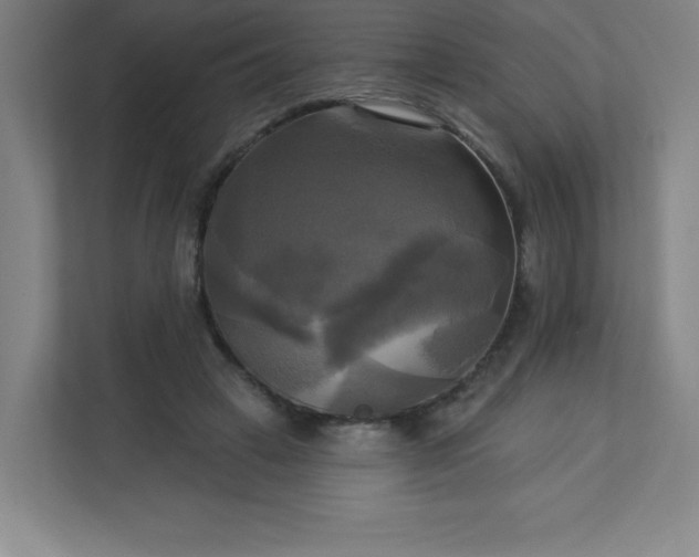 X0000113300449200909281107