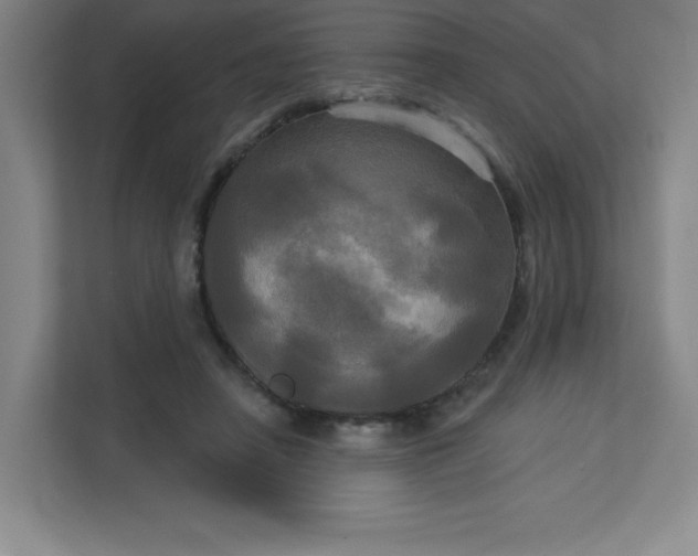 X0000113300450200909281107