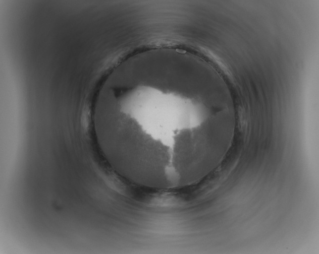 X0000113300451200909281108