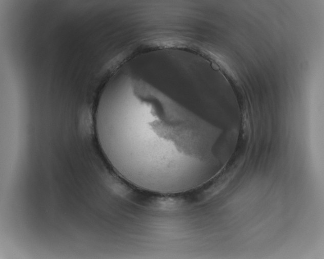 X0000113300453200909281108