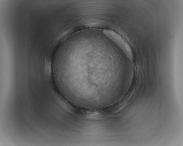 X0000113300454200909281108