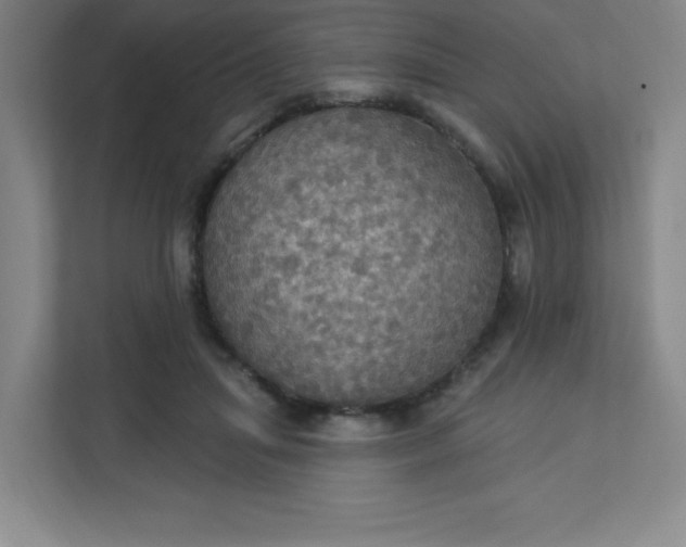 X0000113300455200909281108