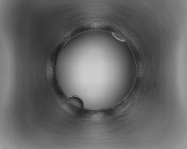 X0000113300456200909281108