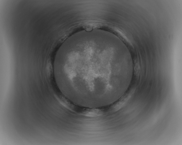 X0000113300459200909281108