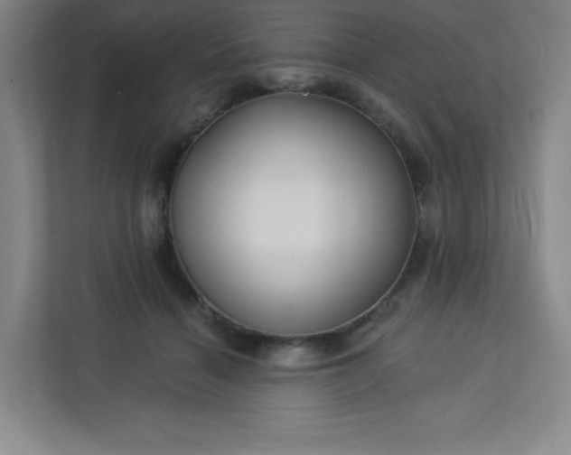 X0000113300460200909281108