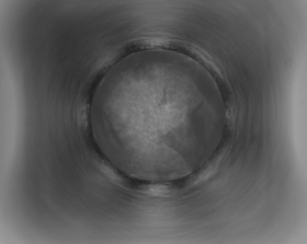 X0000113300462200909281108