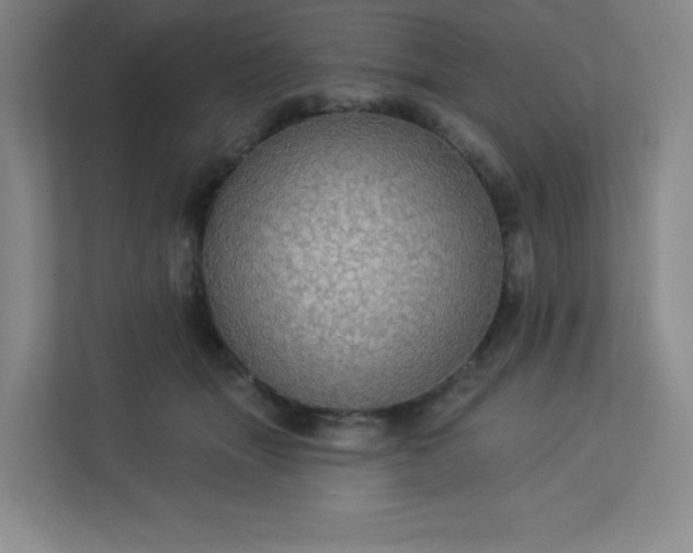 X0000113300463200909281108