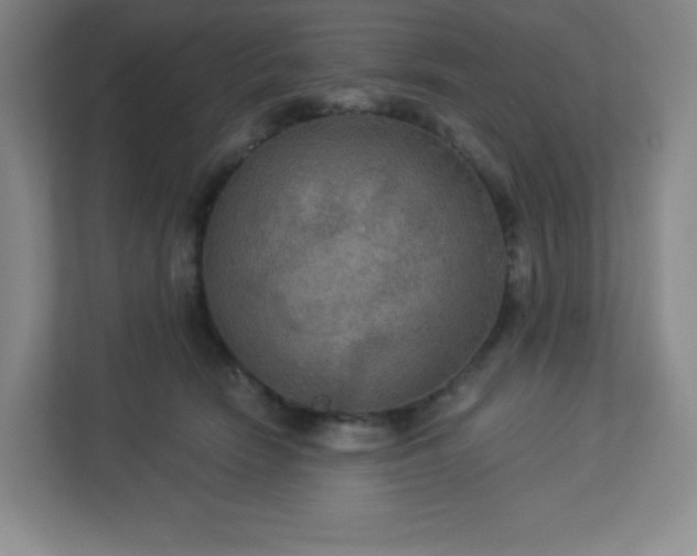 X0000113300466200909281108