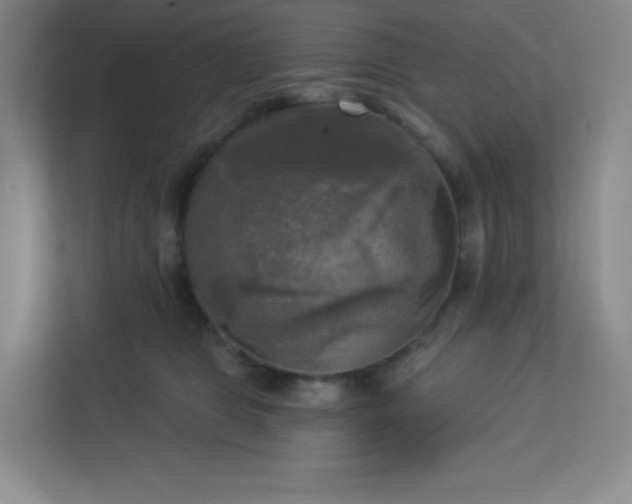 X0000113300469200909281108