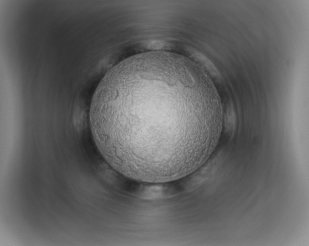 X0000113300473200909281108