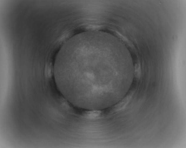 X0000113300474200909281108