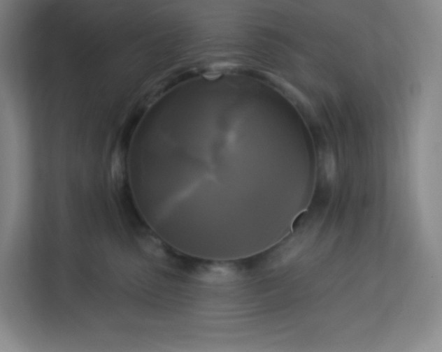 X0000113300475200909281108