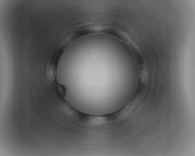 X0000113300476200909281108