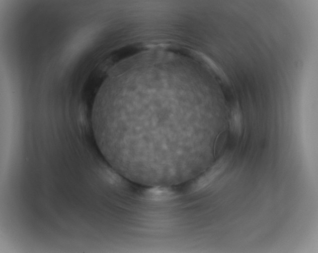 X0000113300477200909281108