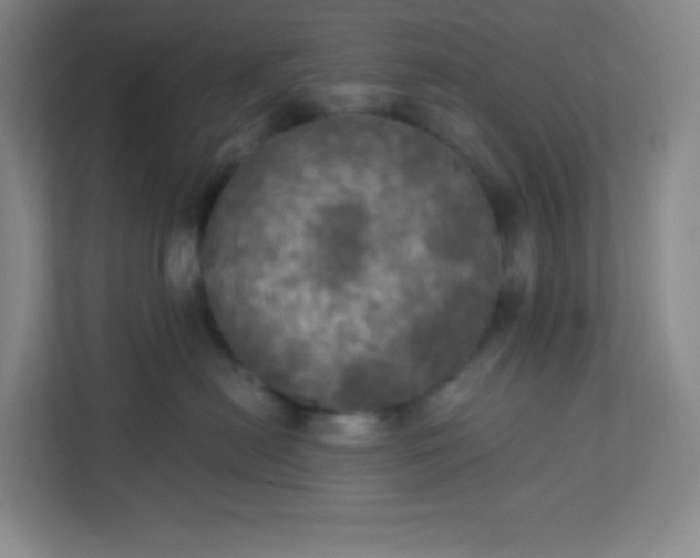 X0000113300478200909281108