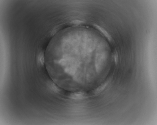 X0000113300479200909281108