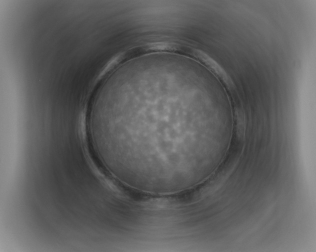 X0000113300482200909281107