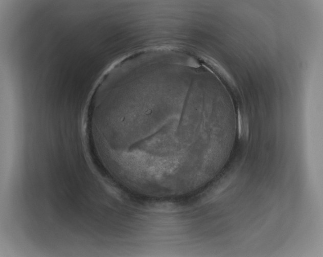 X0000113300483200909281107