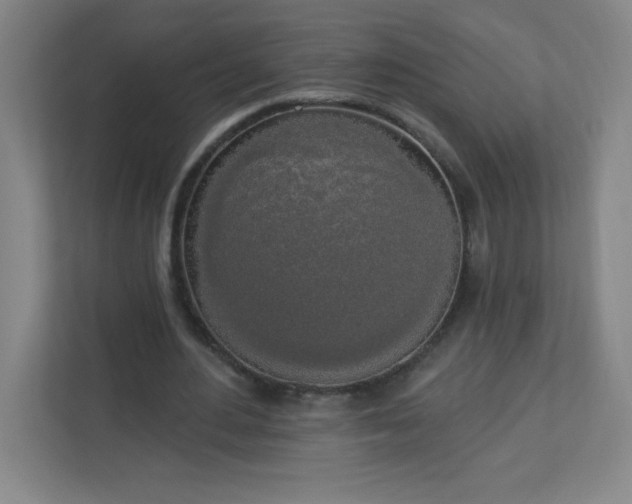 X0000113300484200909281107