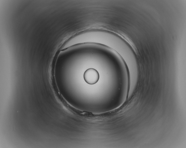 X0000113300485200909281107