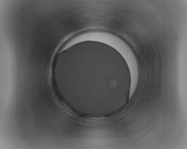 X0000113300488200909281107