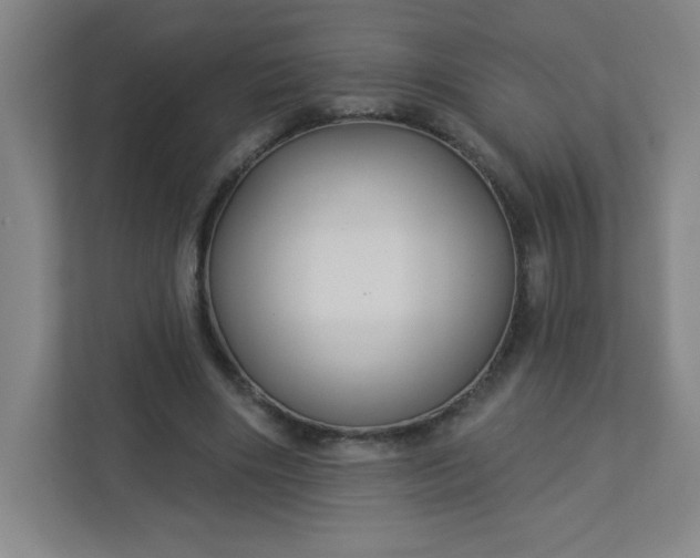 X0000113300490200909281107