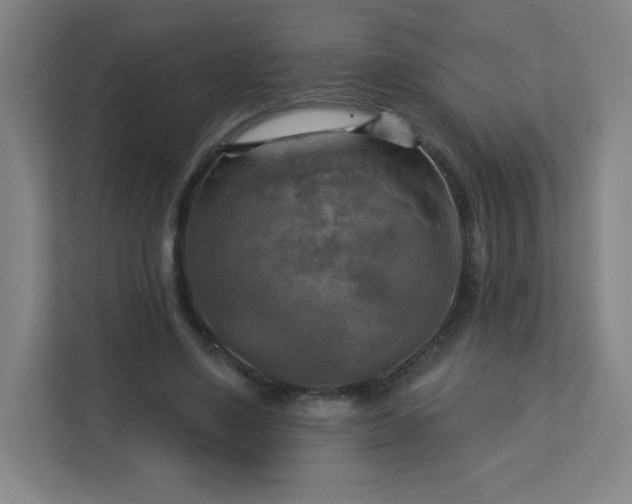 X0000113300491200909281107